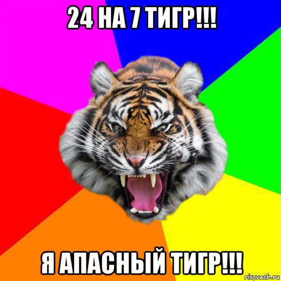 24 на 7 тигр!!! я апасный тигр!!!, Мем  ДЕРЗКИЙ ТИГР