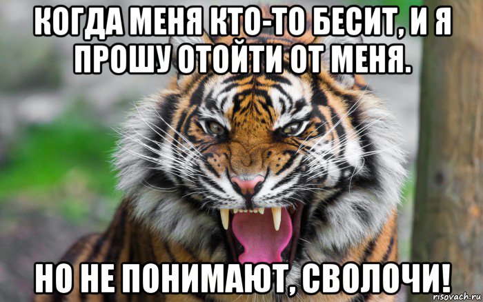 когда меня кто-то бесит, и я прошу отойти от меня. но не понимают, сволочи!