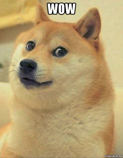 wow , Мем doge woof