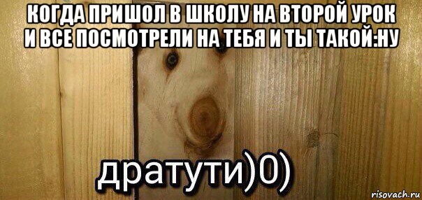 когда пришол в школу на второй урок и все посмотрели на тебя и ты такой:ну , Мем  Дратути