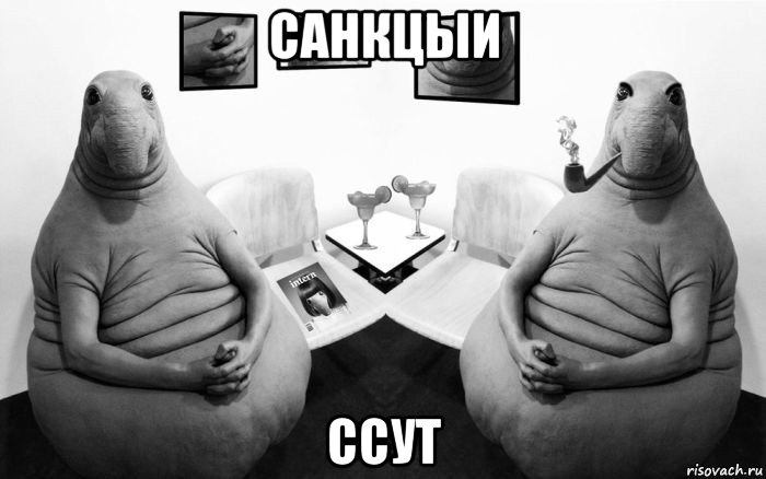 санкцыи ссут