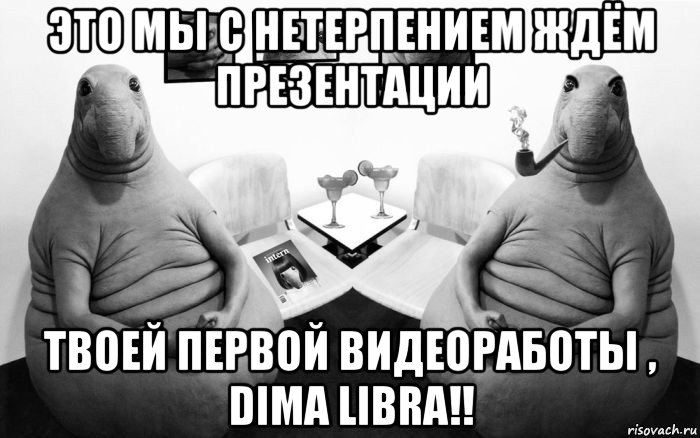 это мы с нетерпением ждём презентации твоей первой видеоработы , dima libra!!