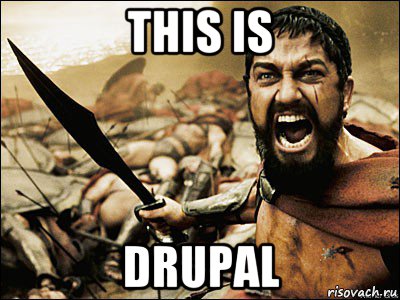 this is drupal, Мем Это Спарта