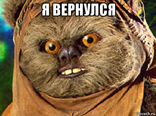 я вернулся 