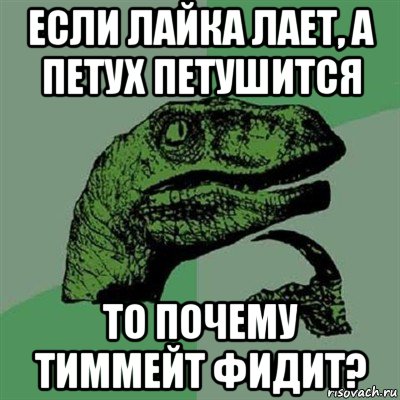 если лайка лает, а петух петушится то почему тиммейт фидит?, Мем Филосораптор