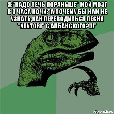 я:"надо лечь пораньше" мой мозг в 3 часа ночи:"а почему бы нам не узнать,как переводиться песня "nentori" с албанского?!!!" , Мем Филосораптор