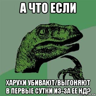 а что если харухи убивают/выгоняют в первые сутки из-за ее нд?, Мем Филосораптор