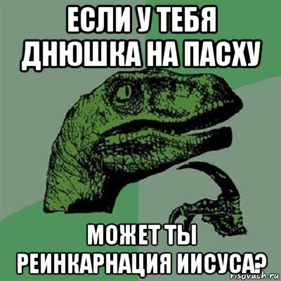 если у тебя днюшка на пасху может ты реинкарнация иисуса?, Мем Филосораптор