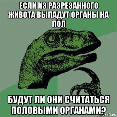 если из разрезанного живота выпадут органы на пол будут ли они считаться половыми органами?, Мем Филосораптор