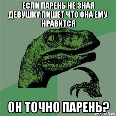 если парень не зная девушку пишет что она ему нравится он точно парень?, Мем Филосораптор