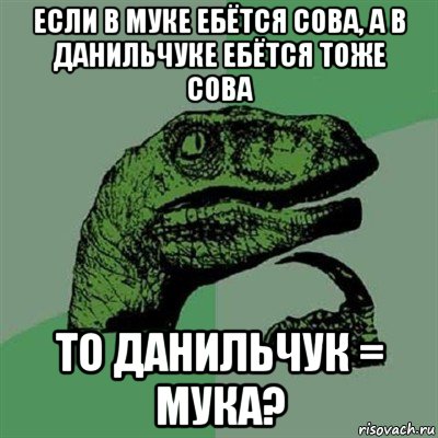 если в муке ебётся сова, а в данильчуке ебётся тоже сова то данильчук = мука?, Мем Филосораптор