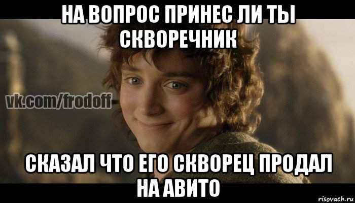 на вопрос принес ли ты скворечник сказал что его скворец продал на авито, Мем  Фродо