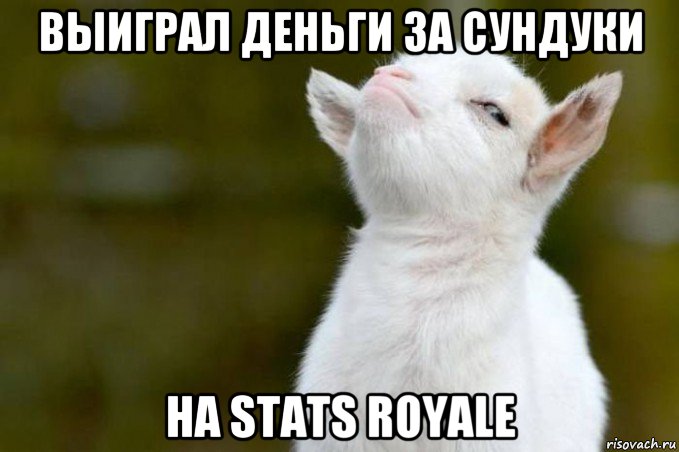 выиграл деньги за сундуки на stats royale, Мем  Гордый козленок