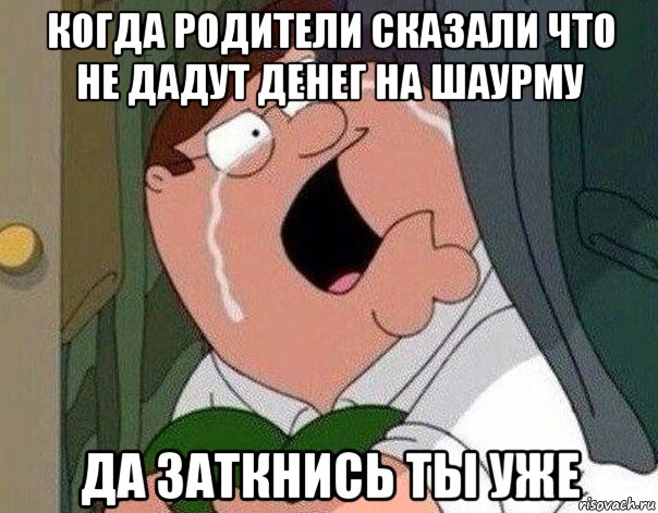 когда родители сказали что не дадут денег на шаурму да заткнись ты уже, Мем Гриффин плачет