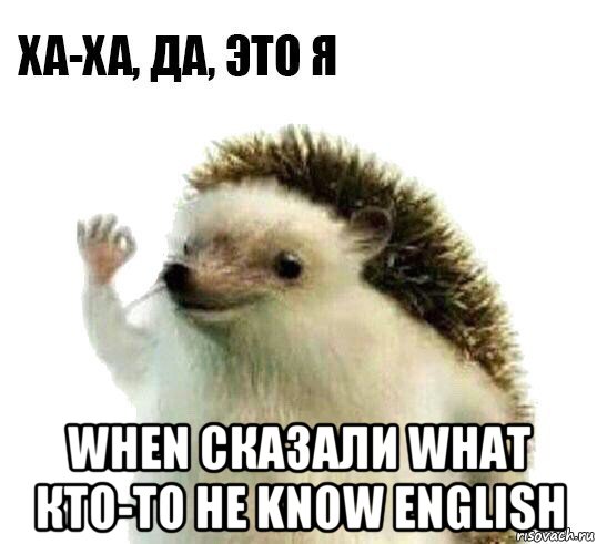  when сказали what кто-то не know english