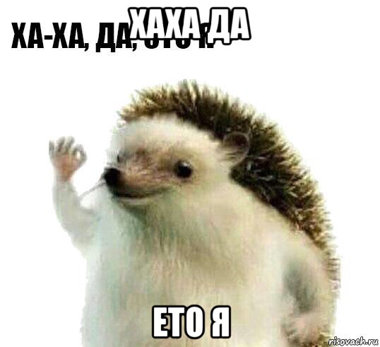 хаха да ето я, Мем Ха-ха да это я