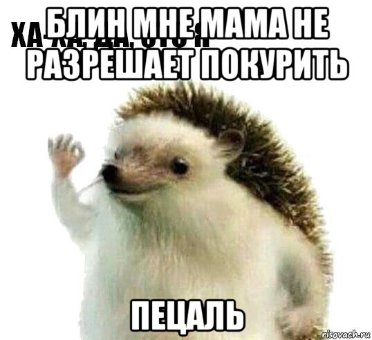 блин мне мама не разрешает покурить пецаль, Мем Ха-ха да это я