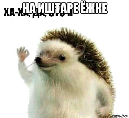 на иштаре ёжке , Мем Ха-ха да это я