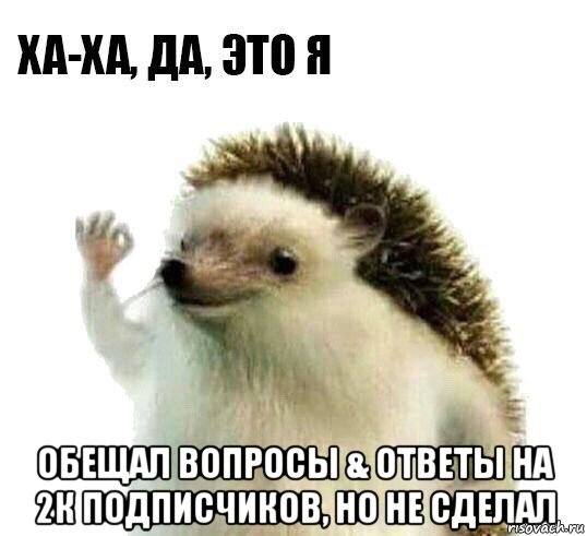  обещал вопросы & ответы на 2к подписчиков, но не сделал, Мем Ха-ха да это я