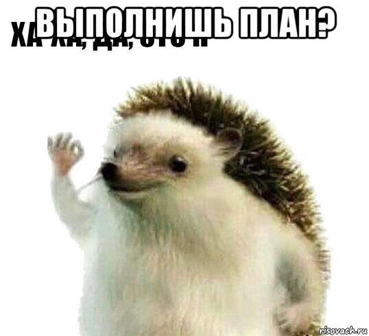 выполнишь план? , Мем Ха-ха да это я