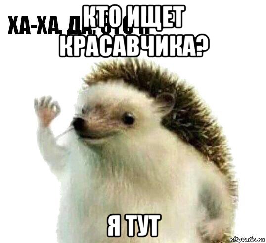 кто ищет красавчика? я тут