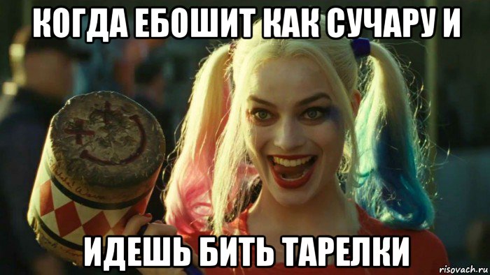 когда ебошит как сучару и идешь бить тарелки, Мем    Harley quinn