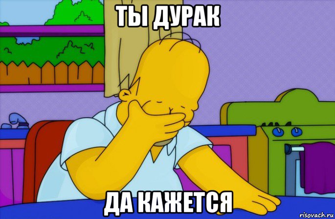 ты дурак да кажется, Мем Homer simpson facepalm