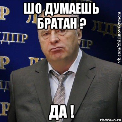 шо думаешь братан ? да !, Мем Хватит это терпеть (Жириновский)