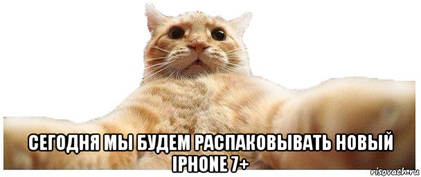  сегодня мы будем распаковывать новый iphone 7+, Мем   Кэтсвилл