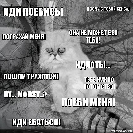 иди поебись! тебе нужно потомство! она не может без тебя! иди ебаться! пошли трахатся! я хочу с тобой секса) поеби меня! потрахай меня! ну... может..? идиоты..., Комикс  кот безысходность