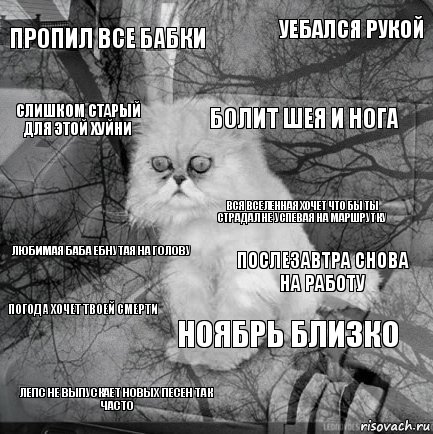 ПРОПИЛ ВСЕ БАБКИ ПОСЛЕЗАВТРА СНОВА НА РАБОТУ БОЛИТ ШЕЯ и нога лепс не выпускает новых песен так часто любимая баба ебнутая на голову уебался рукой ноябрь близко слишком старый для этой хуйни погода хочет твоей смерти вся вселенная хочет что бы ты страдал не успевая на маршрутку, Комикс  кот безысходность
