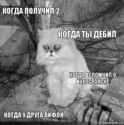 когда получил 2 когда вспомнил о Мухосранске когда ты дебил когда у друга айфон      , Комикс  кот безысходность