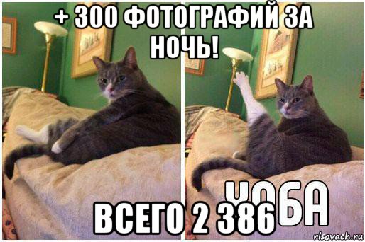 + 300 фотографий за ночь! всего 2 386, Комикс Кот Хоба