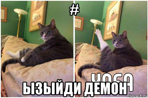 # ызыйди демон, Комикс Кот Хоба