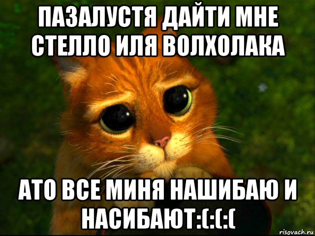 пазалустя дайти мне стелло иля волхолака ато все миня нашибаю и насибают:(:(:(, Мем кот из шрека