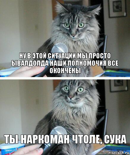 ну в этой ситуации мы просто ывалдолда наши полномочия все окончены ты наркоман чтоле, сука, Комикс  кот с микрофоном