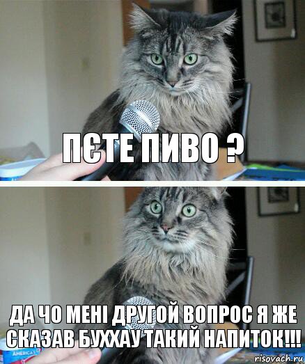 Пєте пиво ? Да чо мені другой вопрос я же сказав буххау такий напиток!!!, Комикс  кот с микрофоном