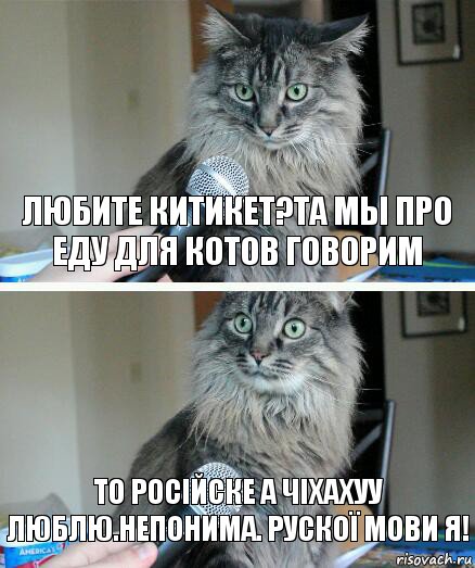 любите китикет?Та мы про еду для котов говорим То російске а чіхахуу люблю.Непонима. рускої мови я!, Комикс  кот с микрофоном