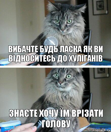 вибачте будь ласка як ви відноситесь до хуліганів знаєте хочу їм врізати голову, Комикс  кот с микрофоном