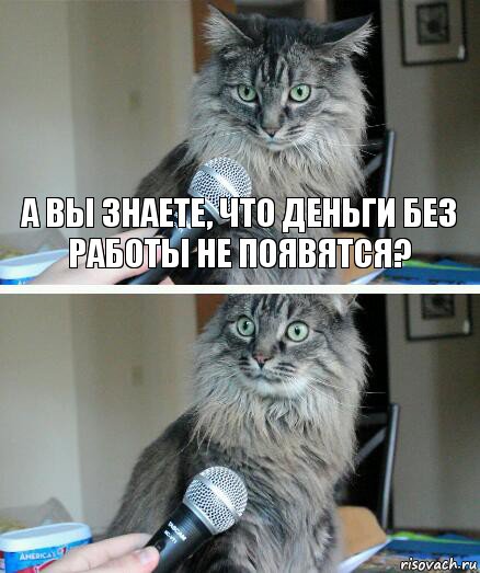 А вы знаете, что деньги без работы не появятся? , Комикс  кот с микрофоном