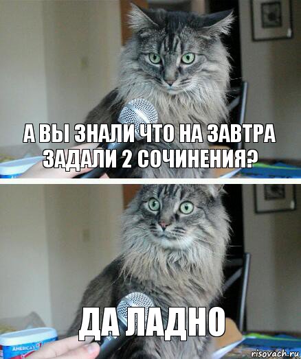 а вы знали что на завтра задали 2 сочинения? Да ладно, Комикс  кот с микрофоном