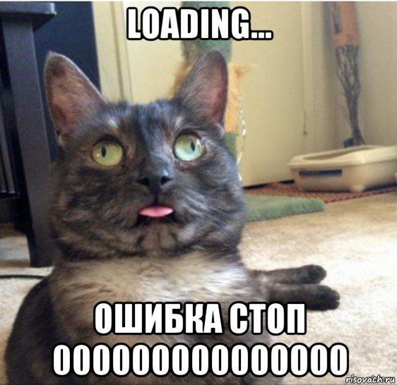 loading... ошибка стоп 000000000000000, Мем   Кот завис