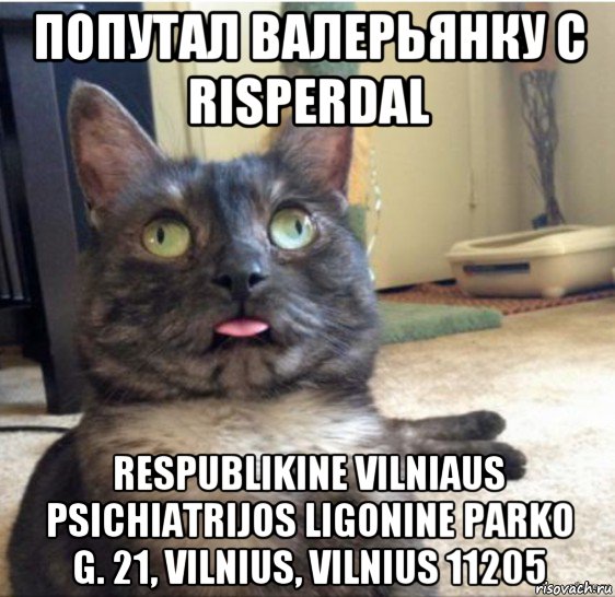 попутал валерьянку с risperdal respublikine vilniaus psichiatrijos ligonine parko g. 21, vilnius, vilnius 11205, Мем   Кот завис