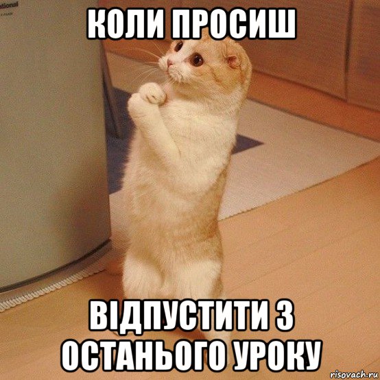 коли просиш відпустити з останього уроку, Мем  котэ молится