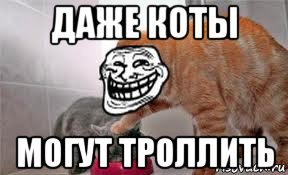 даже коты могут троллить