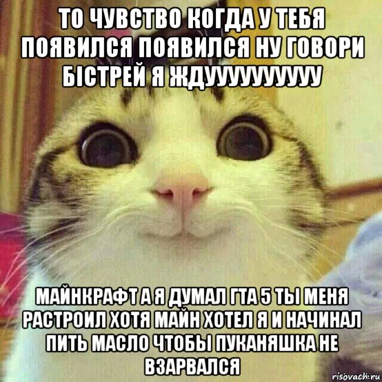 то чувство когда у тебя появился появился ну говори бістрей я ждуууууууууу майнкрафт а я думал гта 5 ты меня растроил хотя майн хотел я и начинал пить масло чтобы пуканяшка не взарвался, Мем       Котяка-улыбака