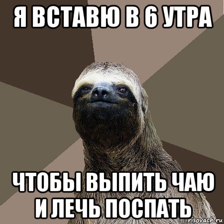 я вставю в 6 утра чтобы выпить чаю и лечь поспать