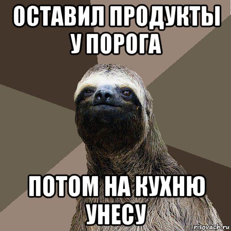 оставил продукты у порога потом на кухню унесу, Мем Ленивец2