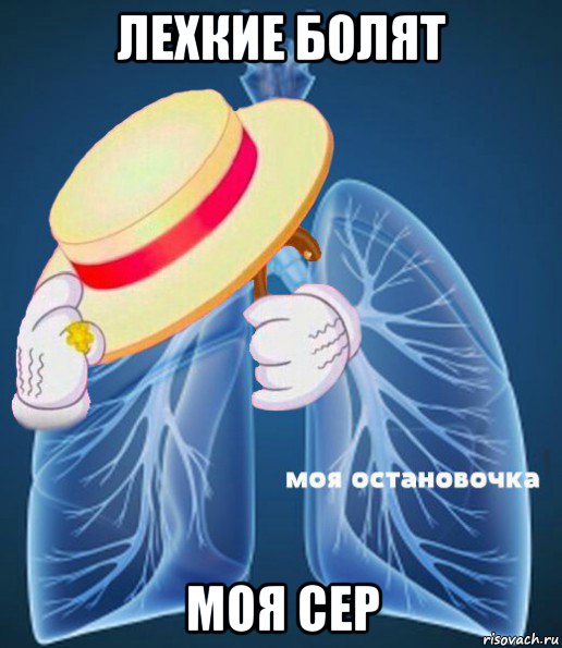 лехкие болят моя сер