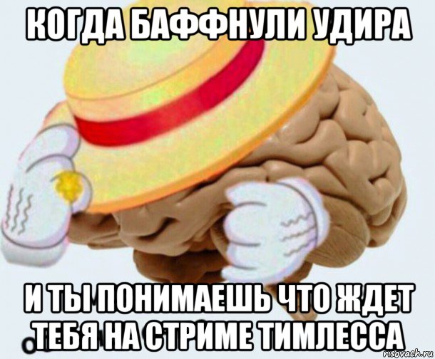 когда баффнули удира и ты понимаешь что ждет тебя на стриме тимлесса, Мем   Моя остановочка мозг